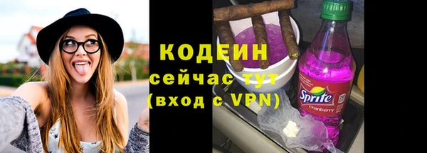 амф Елизово