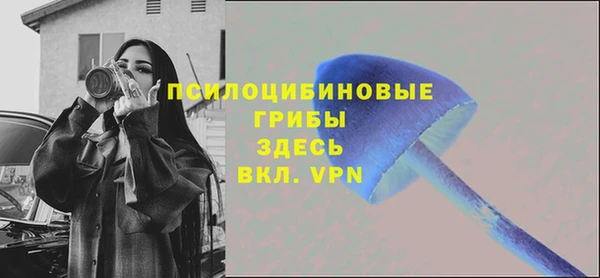 амф Елизово