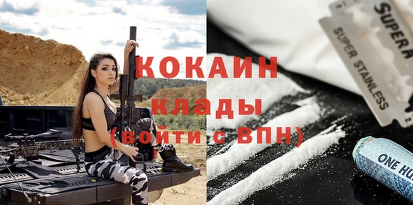 амф Елизово