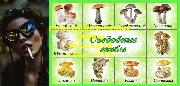 амф Елизово