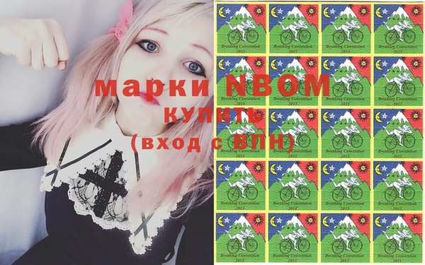 амф Елизово