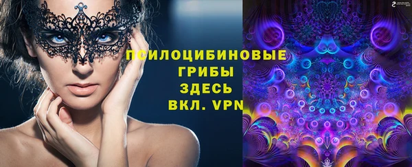марки lsd Ельня