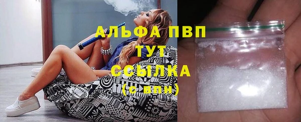 амф Елизово